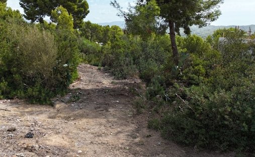 Land in Cala Fornells, Calvia, Balearic Islands 1