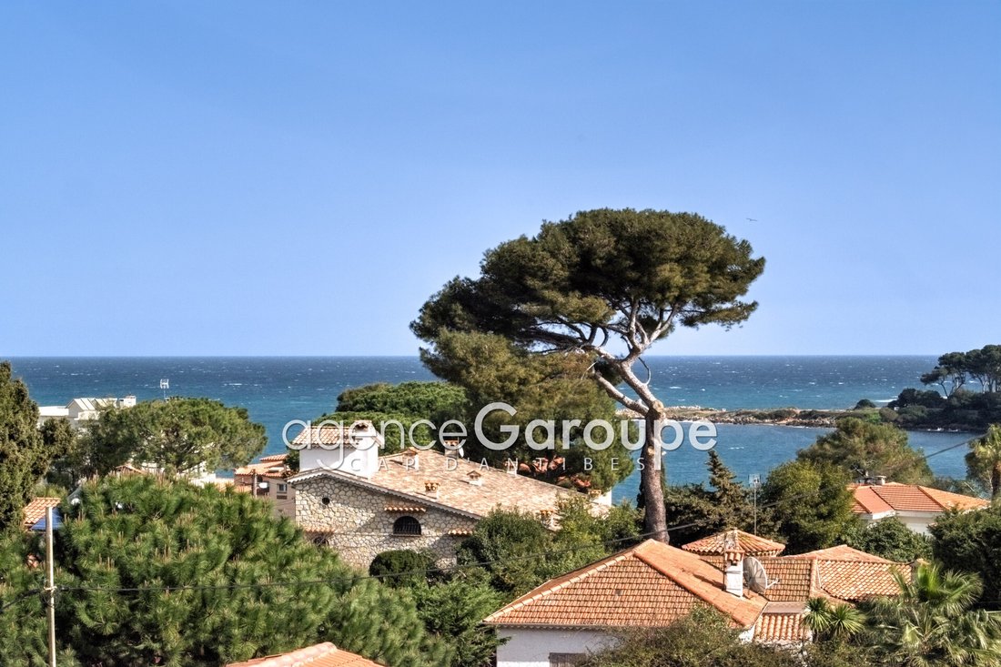 Villa in Antibes, Provence-Alpes-Côte d'Azur, France 1 - 17316159