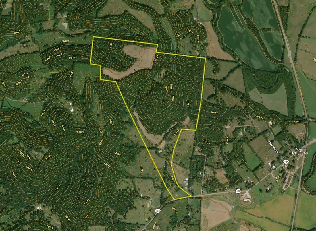 House in Dellrose, Tennessee, United States 3 - 17390838
