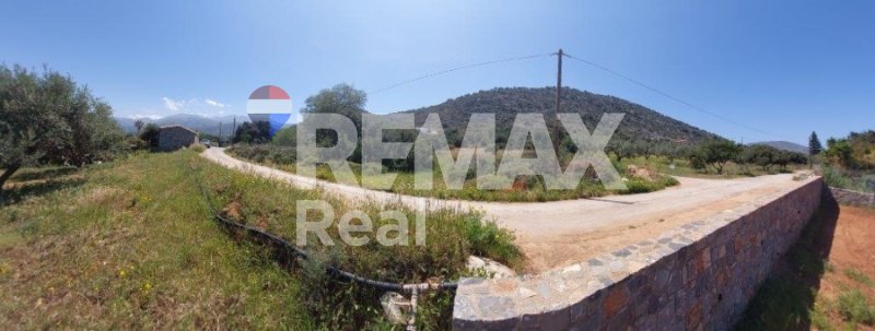 Land in Community of Malia, Malia, Greece 5 - 14613269