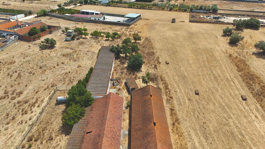 Terrain à Quinta do Anjo, Setúbal Municipality, Portugal 5 - 16147681