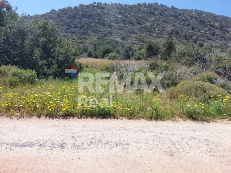 Land in Community of Malia, Malia, Greece 2 - 14613269