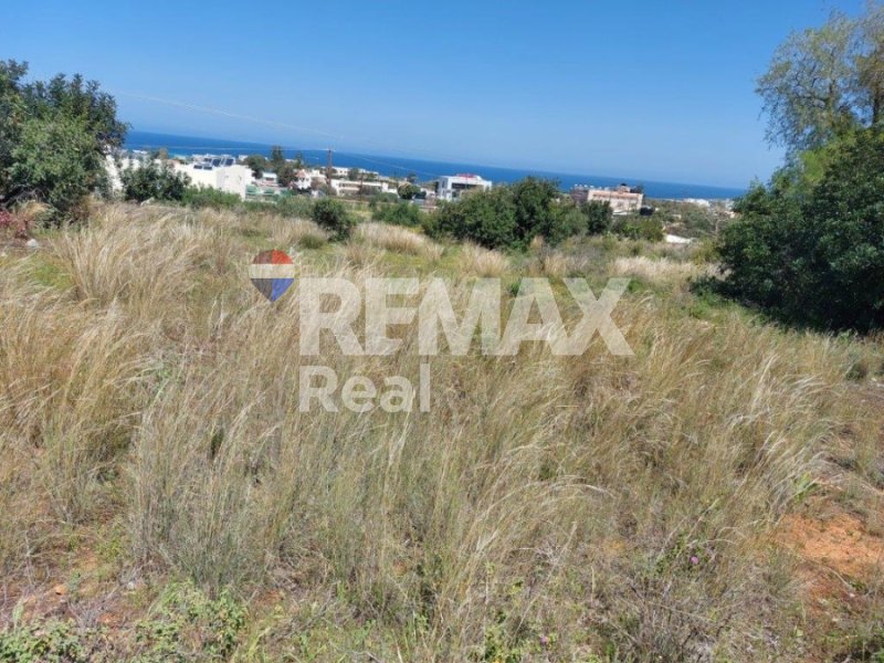 Land in Community of Malia, Malia, Greece 4 - 14613269