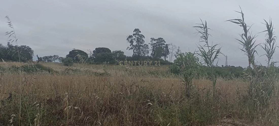 Land in Setubal (Sao Sebastiao), Setubal, Portugal 2 - 13501615