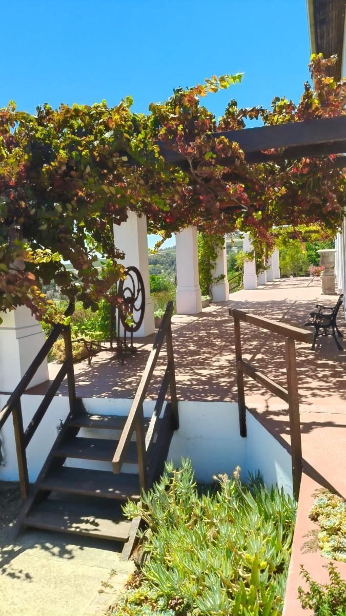 Farm Ranch in Brackenfell South, Cape Town, South Africa 2 - 17390079