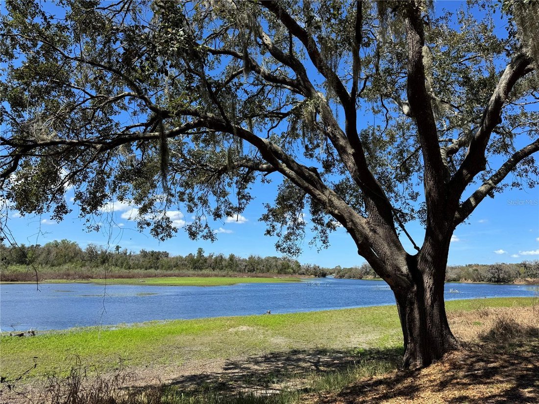 House in Riverview, Florida, United States 3 - 17181183