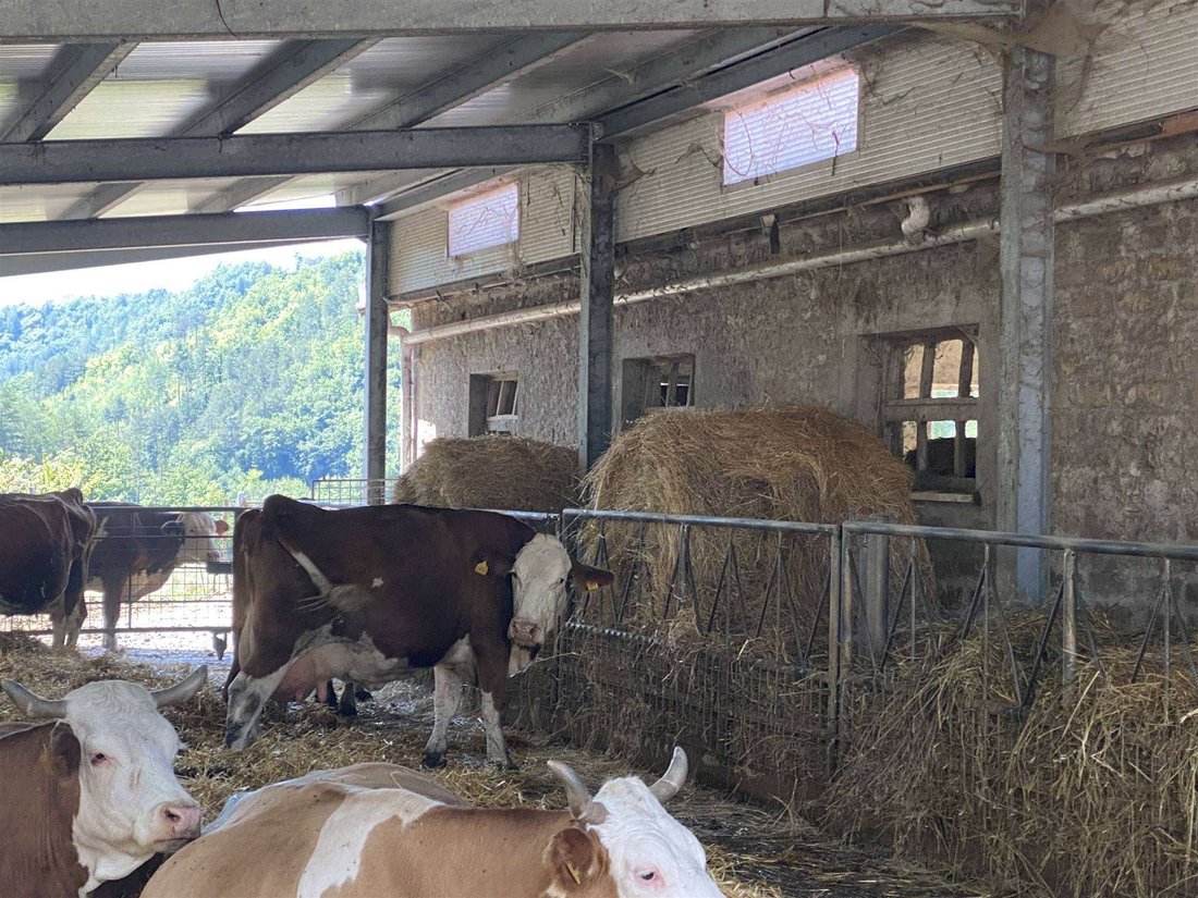 Farm Ranch in Gubbio, Umbria, Italy 5 - 17392085