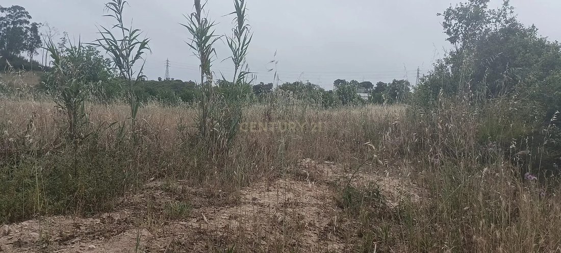 Land in Setubal (Sao Sebastiao), Setubal, Portugal 3 - 13501615