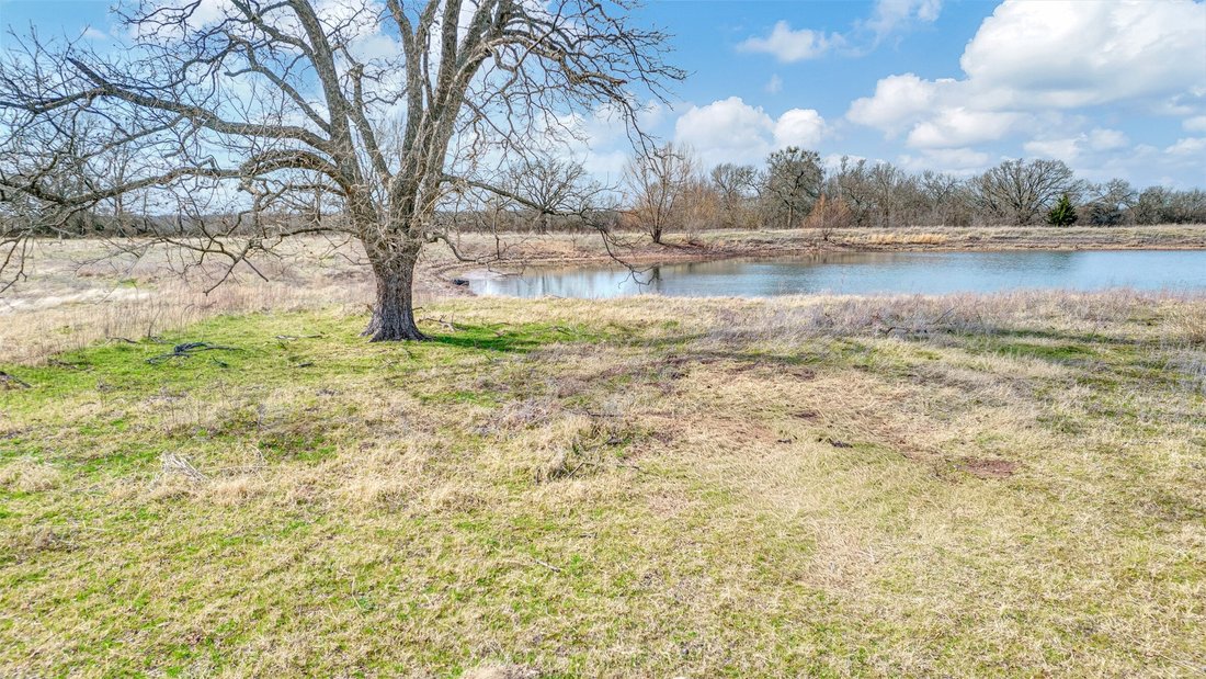 Land in Blue Ridge, Texas, United States 5 - 17391129