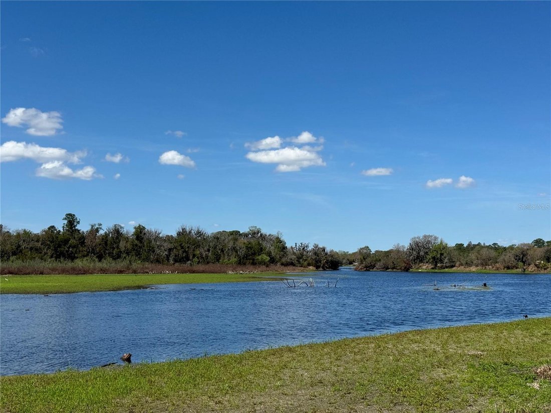 House in Riverview, Florida, United States 2 - 17181183