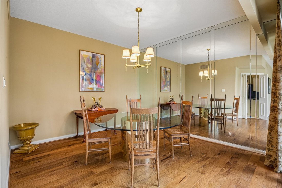 Condo in Houston, Texas, United States 5 - 17394650