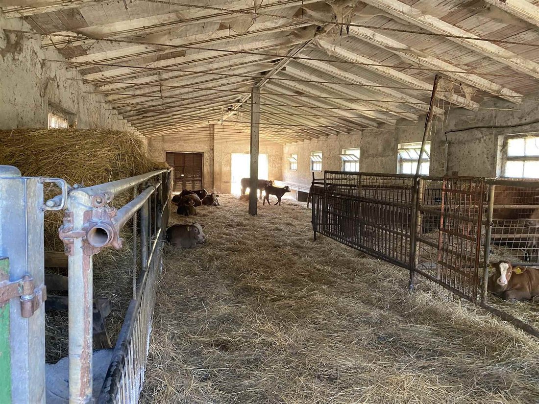 Farm Ranch in Gubbio, Umbria, Italy 4 - 17392085