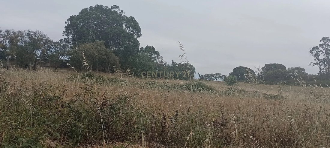 Land in Setubal (Sao Sebastiao), Setubal, Portugal 4 - 13501615