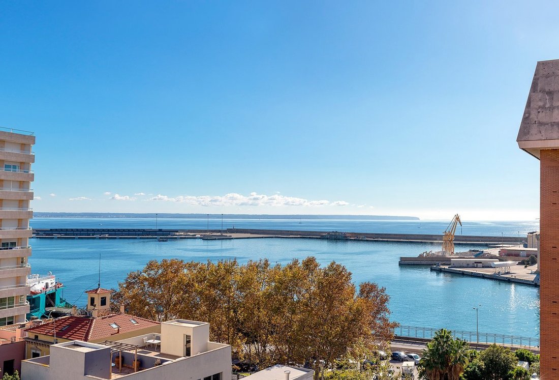 Apartment in Palma, Balearic Islands, Spain 3 - 17393600