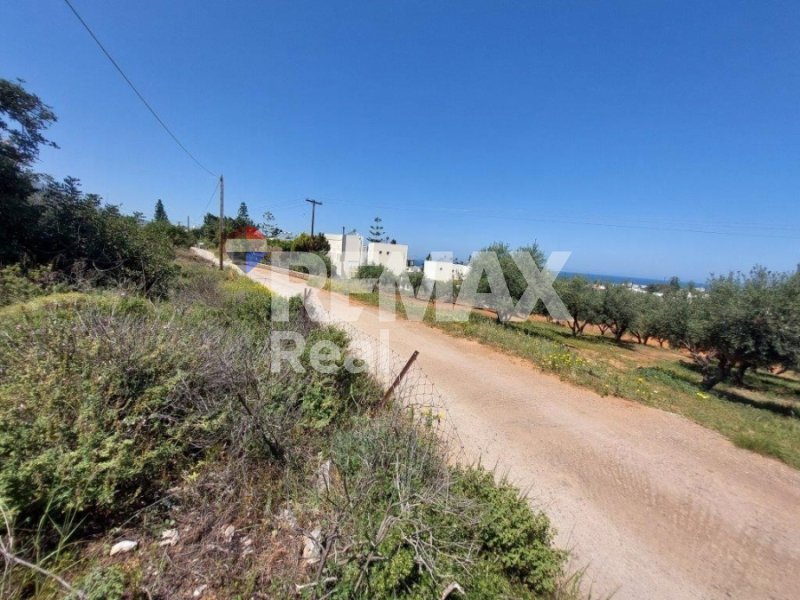 Land in Community of Malia, Malia, Greece 1 - 14613269