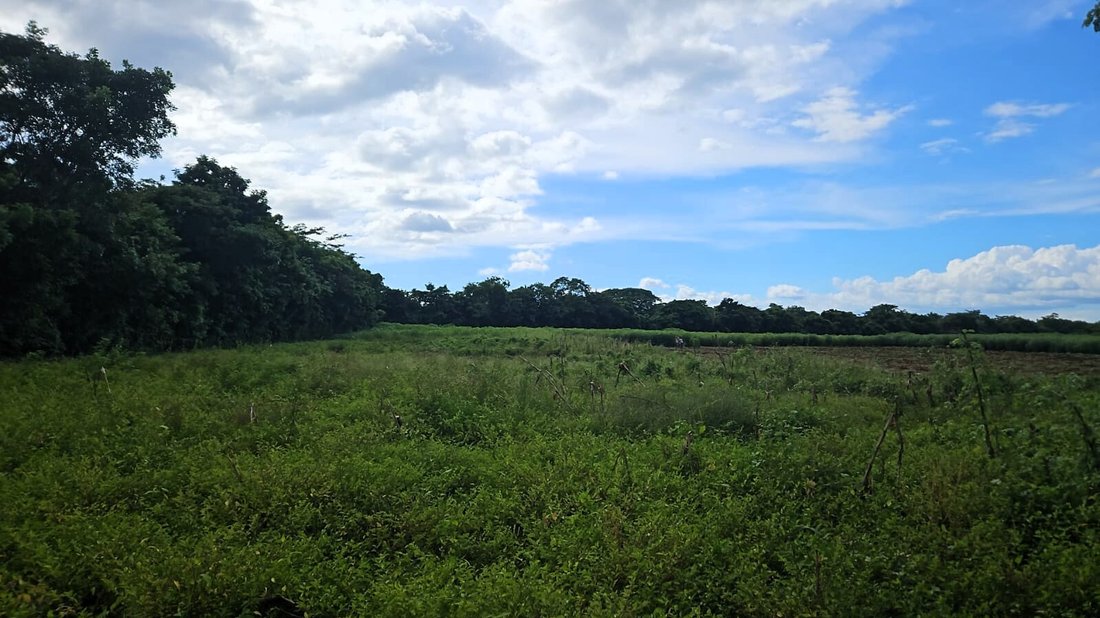 Land in San Juan, Granada, Nicaragua 1 - 17390924