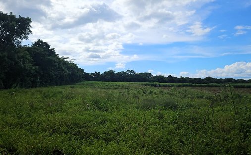 Land in San Juan, Granada, Nicaragua 1