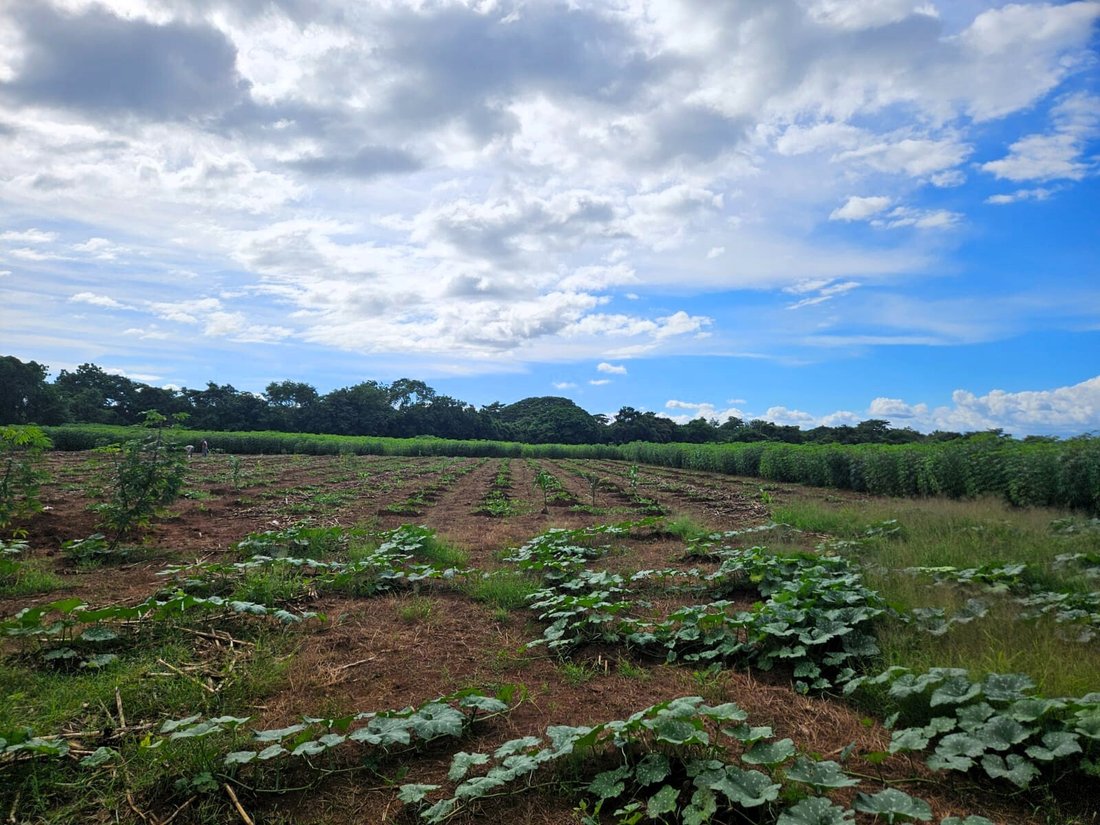 Land in San Juan, Granada, Nicaragua 2 - 17390924