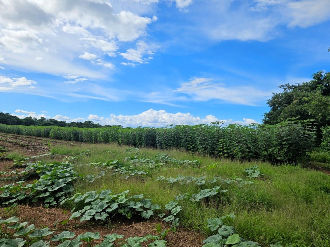 Land in San Juan, Granada, Nicaragua 3 - 17390924
