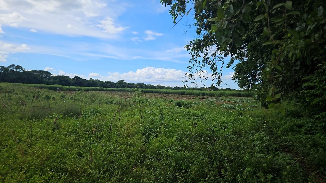 Land in San Juan, Granada, Nicaragua 5 - 17390924