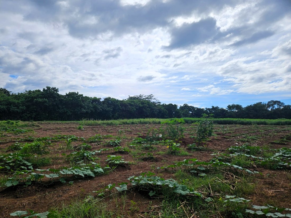 Land in San Juan, Granada, Nicaragua 4 - 17390924