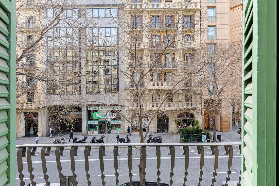 Apartment in Eixample, Barcelona, Spain 5 - 17392335