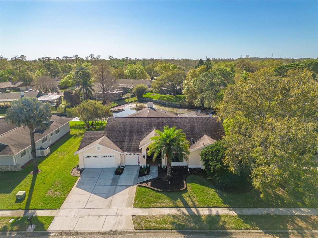 House in Oldsmar, Florida, United States 1 - 17393308