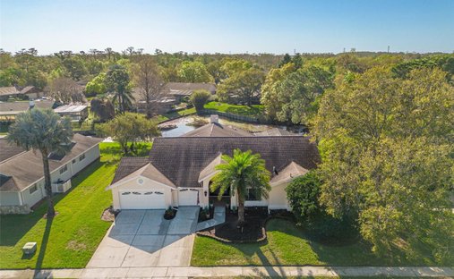 House in Oldsmar, Florida, United States 1