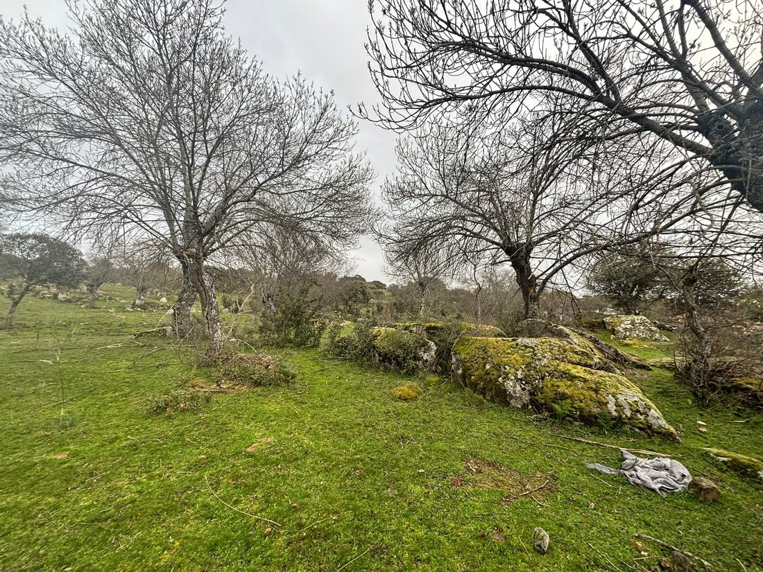 Land in Galapagar, Comunidad de Madrid, Spain 4 - 17392329