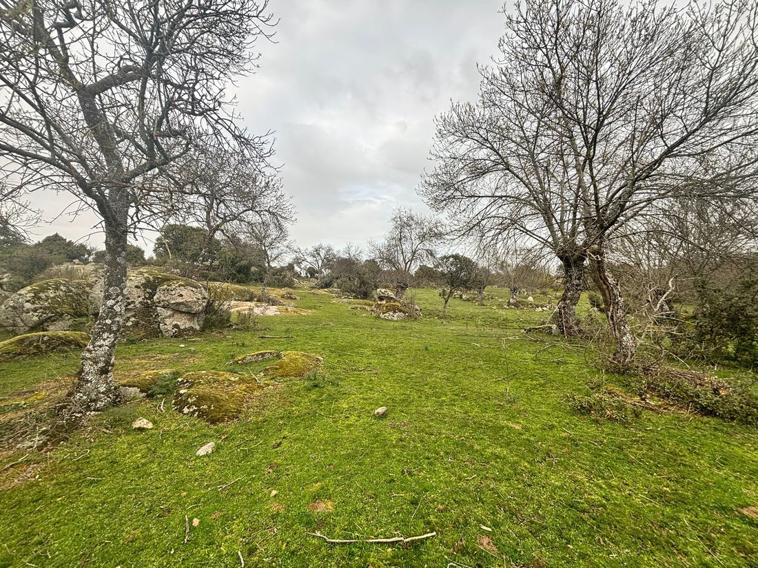 Land in Galapagar, Comunidad de Madrid, Spain 2 - 17392329