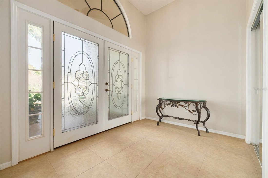 House in Oldsmar, Florida, United States 3 - 17393308