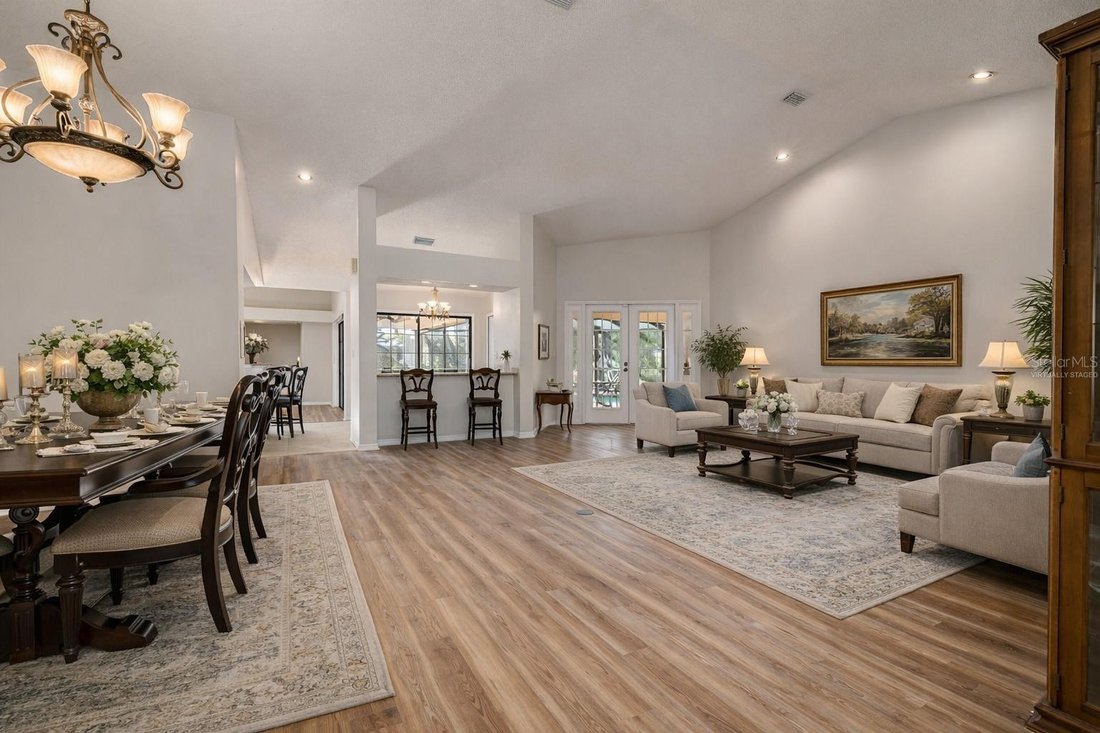 House in Oldsmar, Florida, United States 4 - 17393308