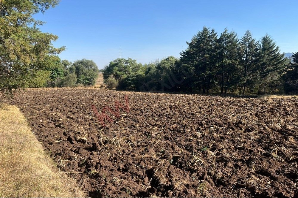 Land in Xhixhata, State of Mexico, Mexico 5 - 17391437