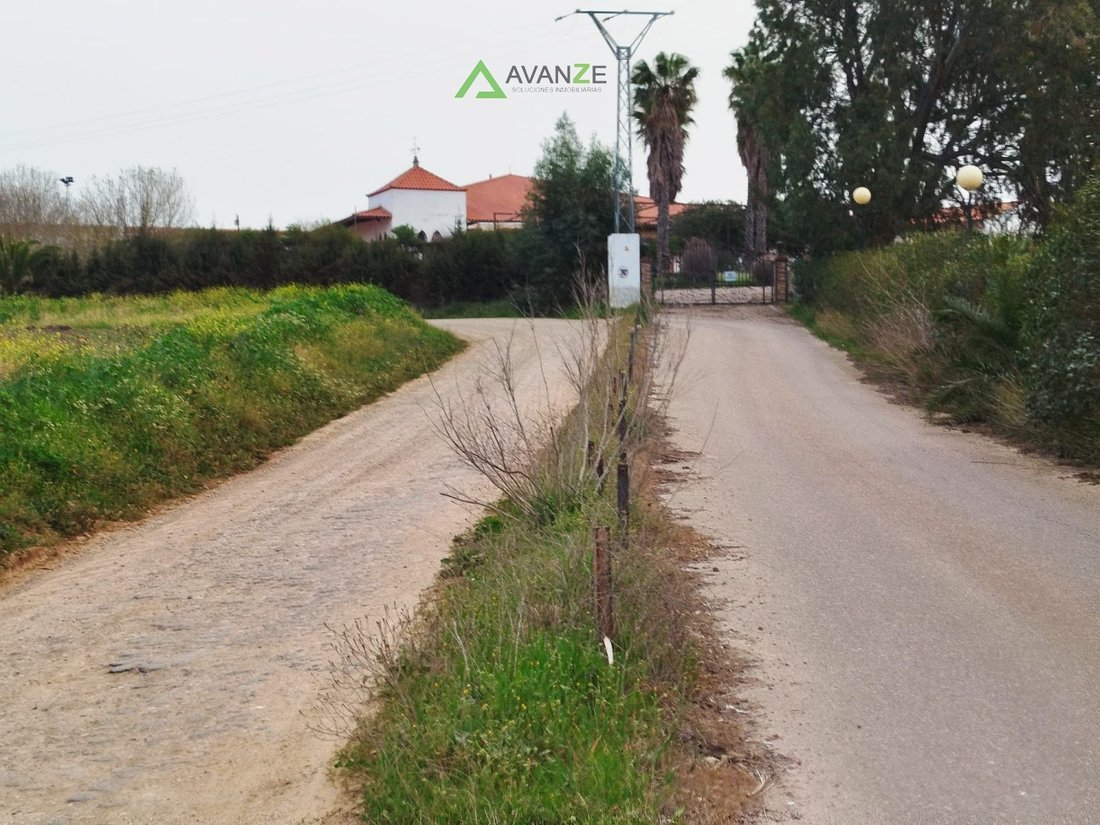 Azienda agricola a Mérida, Mérida, Spagna 2 - 17234132