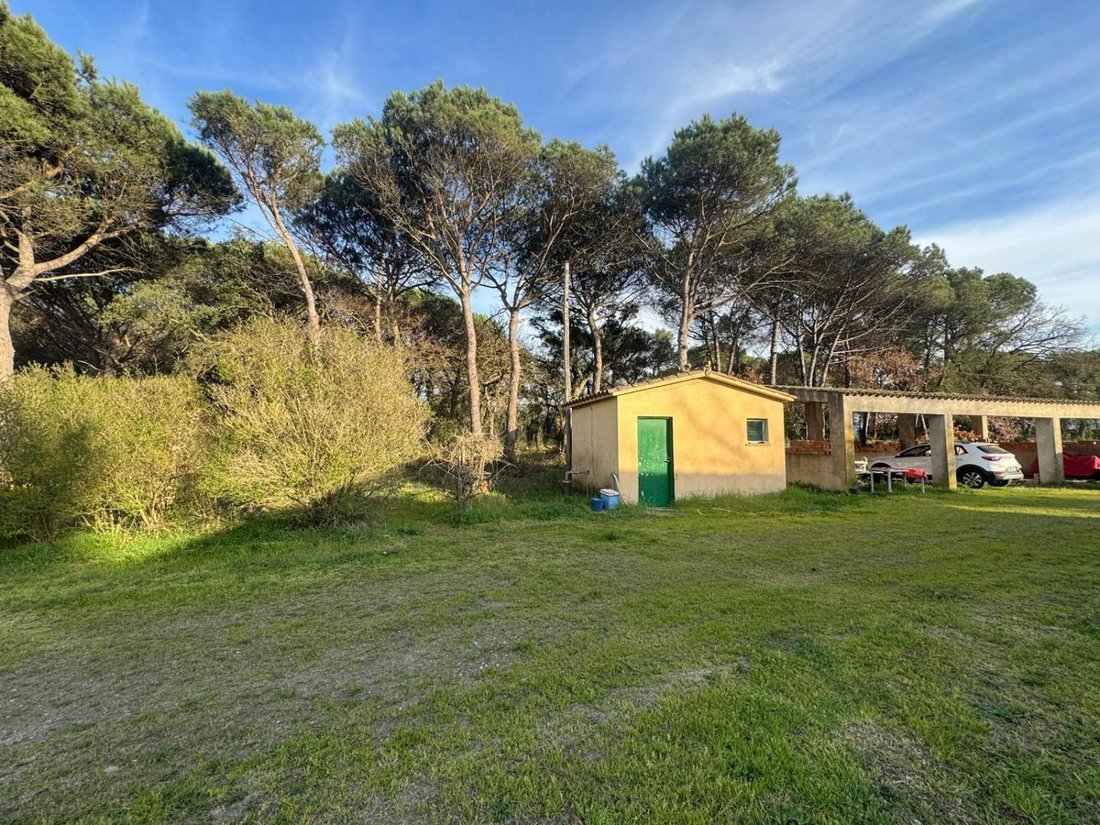 House in Llagostera, Catalonia, Spain 5 - 17395449