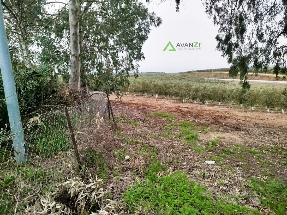 Azienda agricola a Mérida, Mérida, Spagna 4 - 17234132