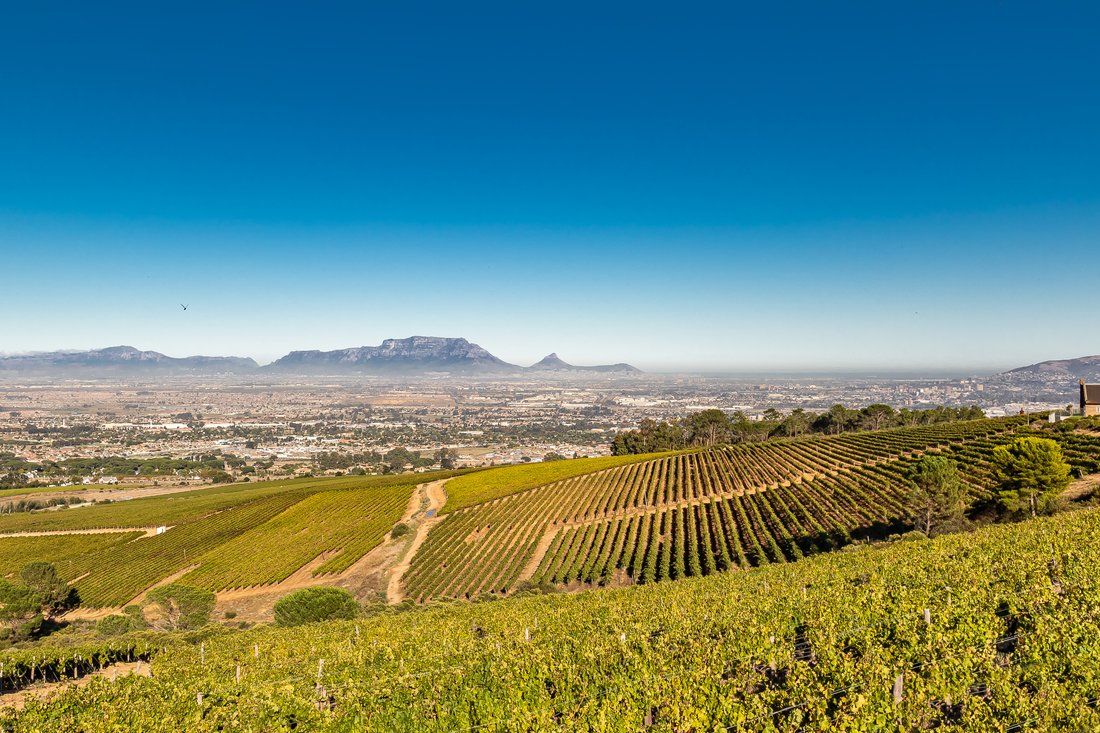 Farm Ranch in Amandelrug, Cape Town, South Africa 2 - 17402944