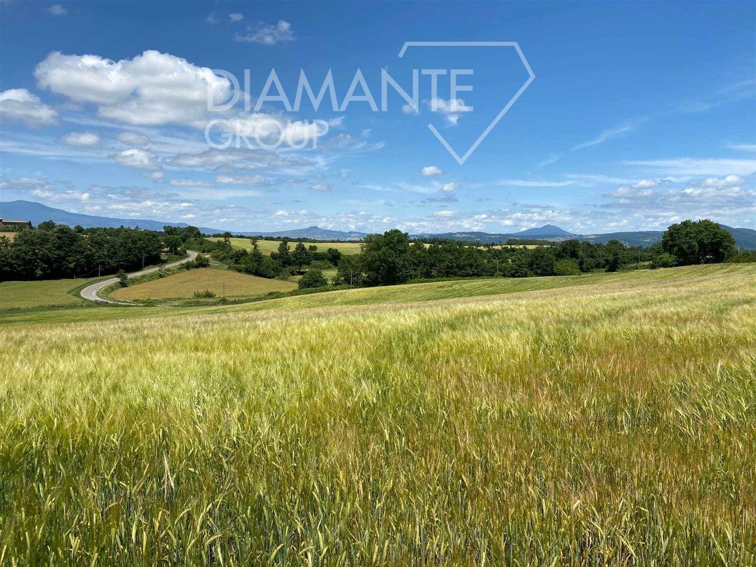 Land in Acquapendente, Latium, Italien 4 - 17401872