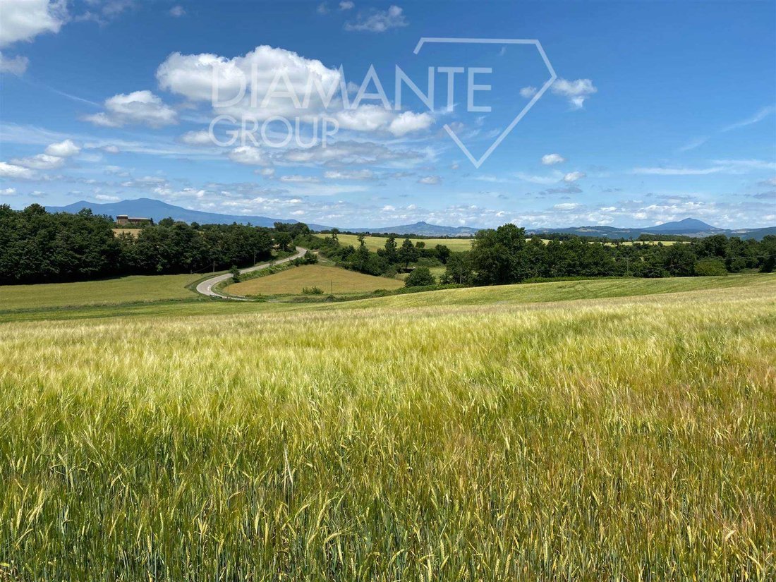 Land in Acquapendente, Latium, Italien 5 - 17401872