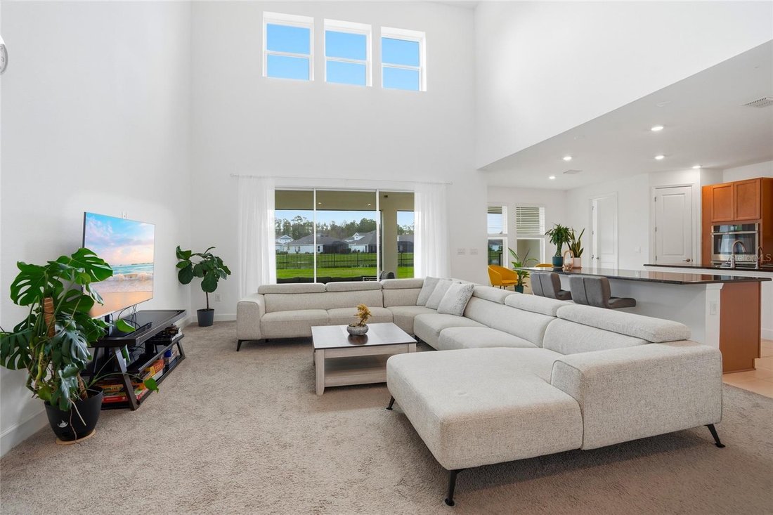 House in Zephyrhills, Florida, United States 3 - 17396170