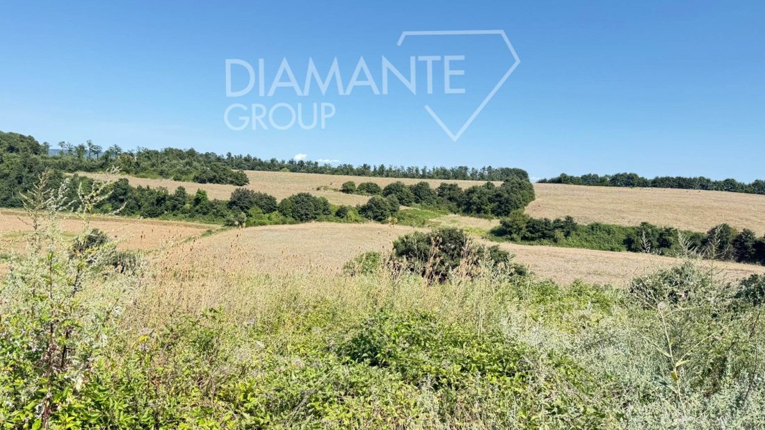 Land in Acquapendente, Lazio, Italy 1 - 17401877