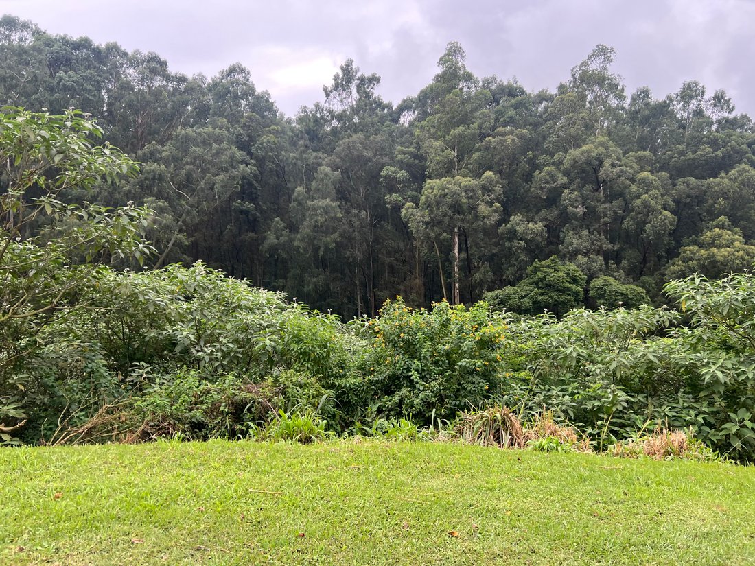 Land in Montrose, KwaZulu-Natal, South Africa 1 - 17398154