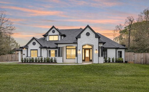 House in Conroe, Texas, United States 1