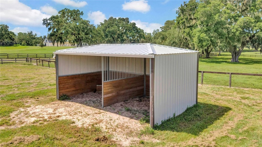 House in Ocala, Florida, United States 5 - 17399662
