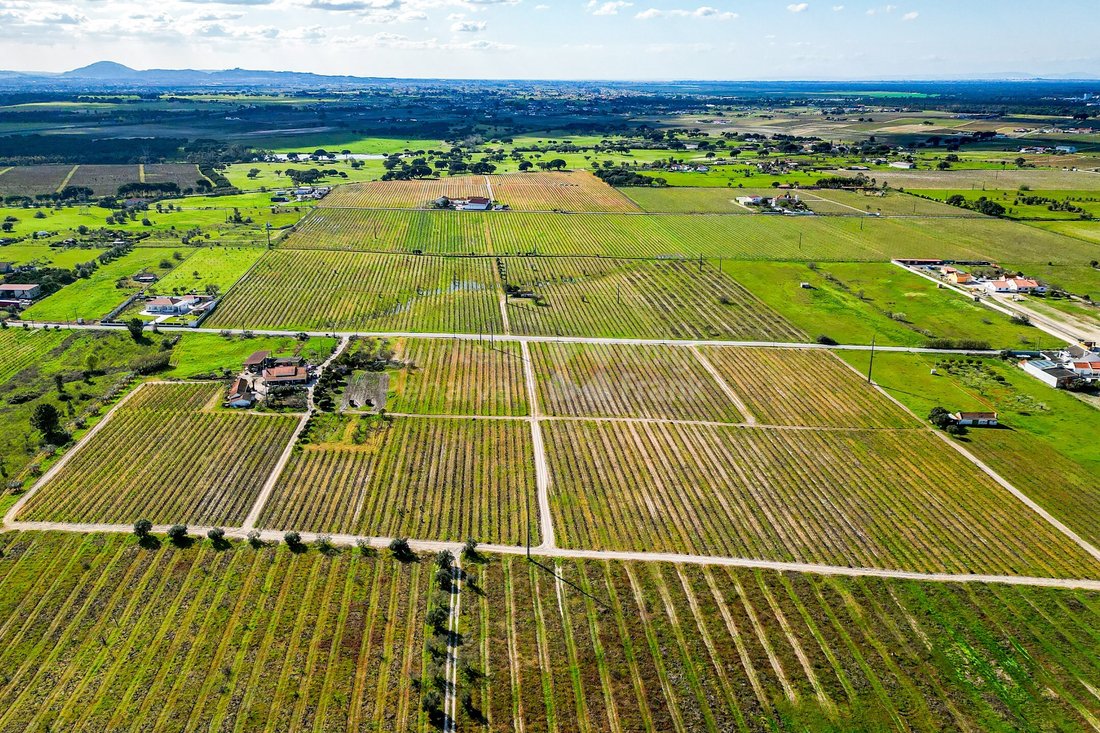Finca in Poceirao e Marateca, Setubal, Portugal 5 - 17398060