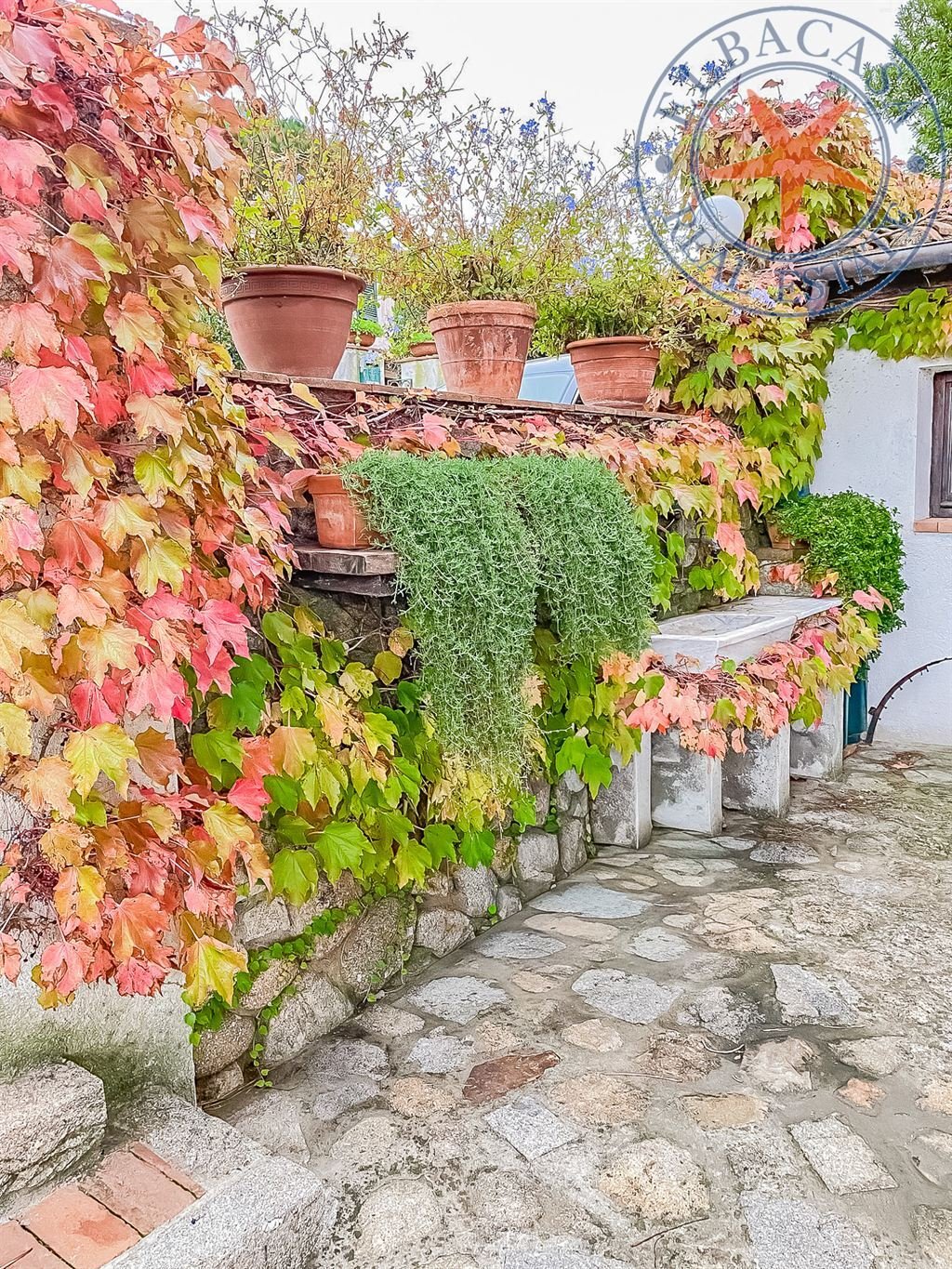 Villa in Marciana, Tuscany, Italy 5 - 17400468