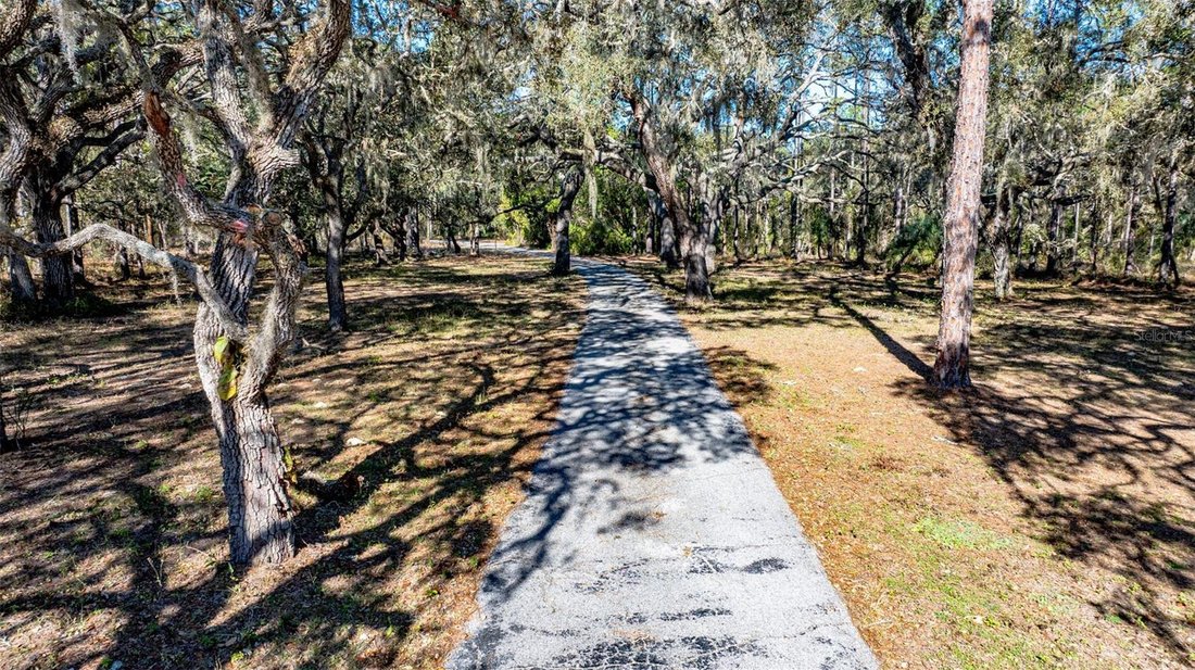 Farm Ranch in Hudson, Florida, United States 5 - 17399667