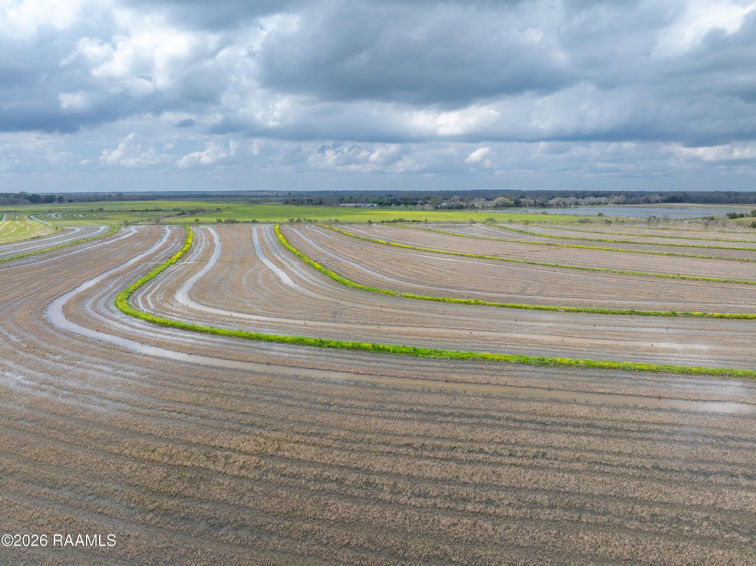 Farm Ranch in Church Point, Louisiana, United States 4 - 17399726