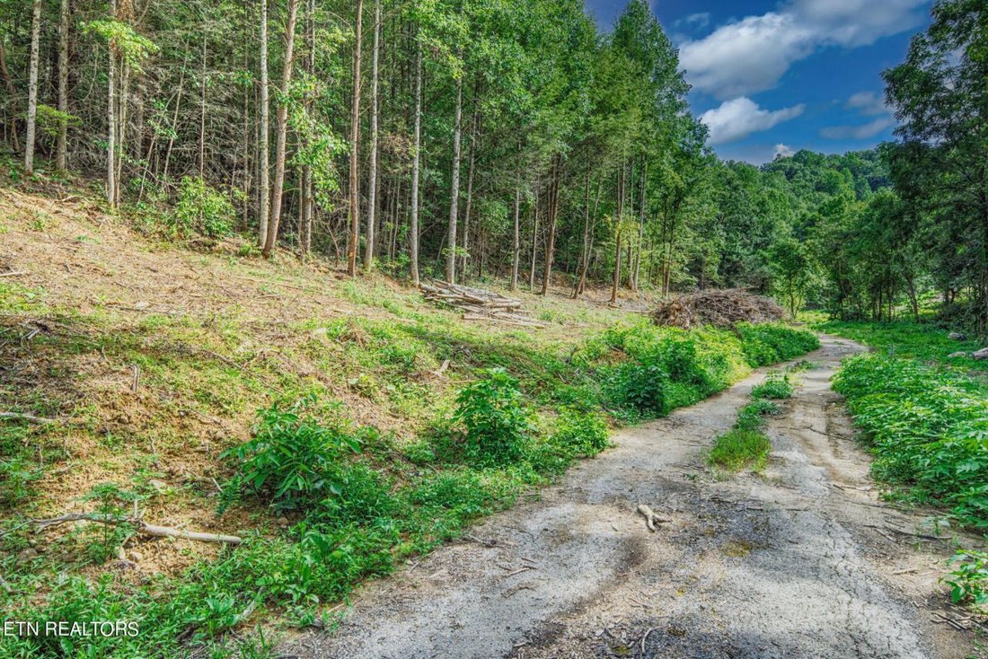 Land in Sevierville, Tennessee, United States 4 - 17402680
