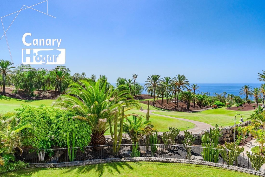 Apartment in Guia de Isora, Canary Islands, Spain 1 - 17402122